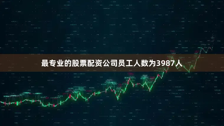 最专业的股票配资公司员工人数为3987人