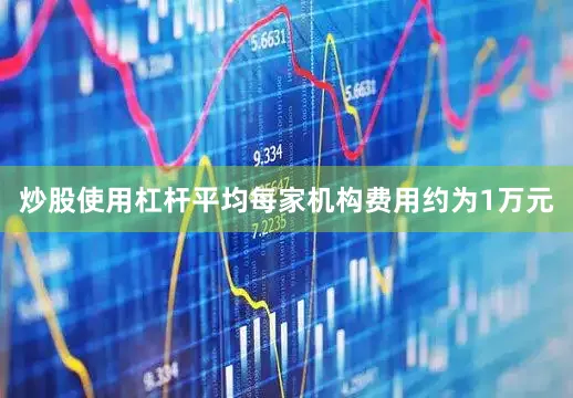 炒股使用杠杆平均每家机构费用约为1万元