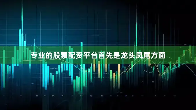 专业的股票配资平台　　首先是龙头凤尾方面
