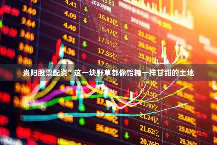 贵阳股票配资”这一块野草都像饴糖一样甘甜的土地