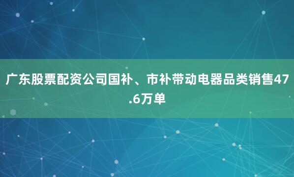 广东股票配资公司国补、市补带动电器品类销售47.6万单